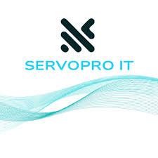  Servopro IT Ltd.